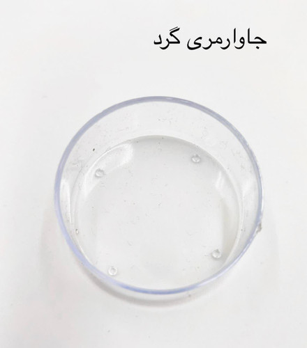 جای وارمر گرد پلکسی شفاف | قطر ۳۸ میلیمتر | ارتفاع ۱۸ میلیمتر